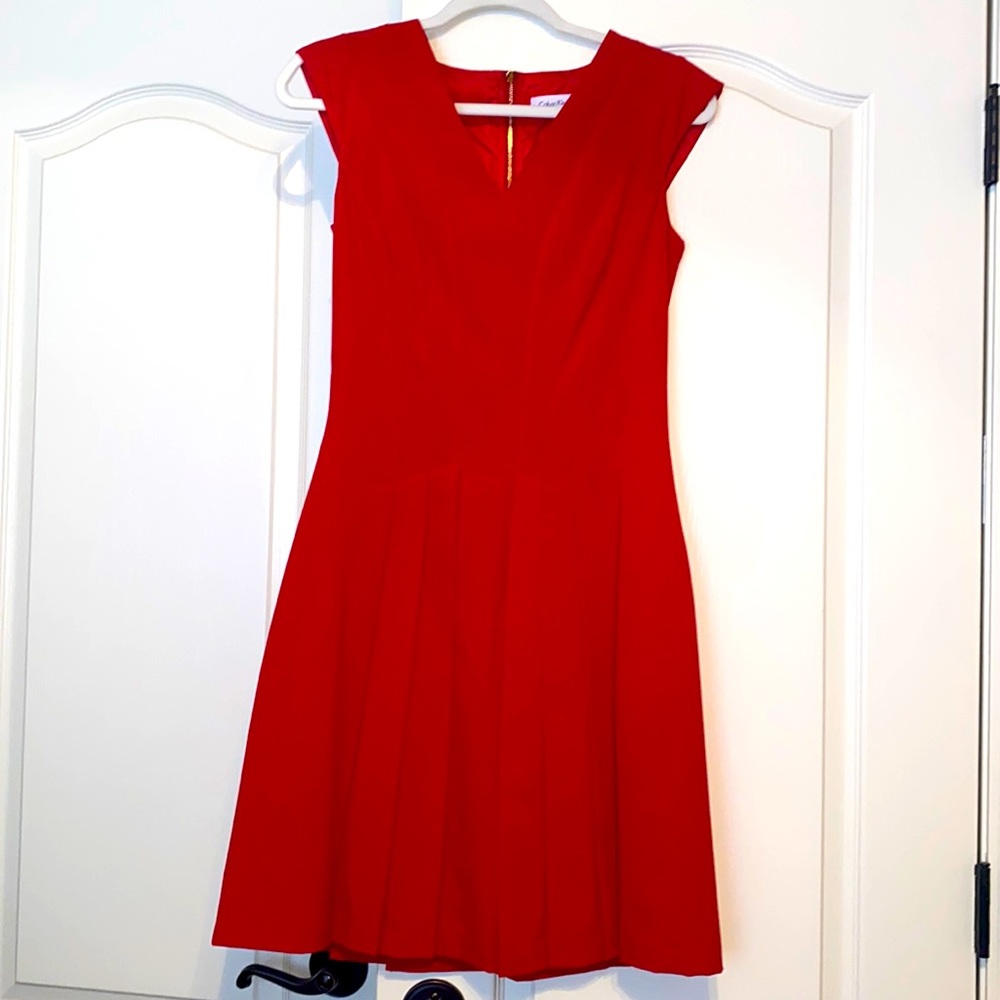 Calvin Klein Beautiful Red Pleated Dress
